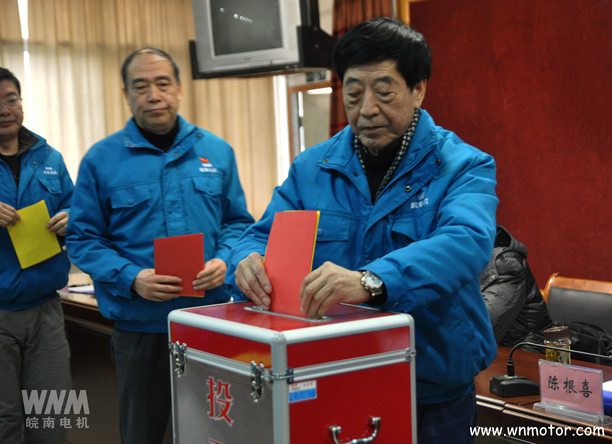 皖南電機(jī)陳根喜、管兵在投票現(xiàn)場