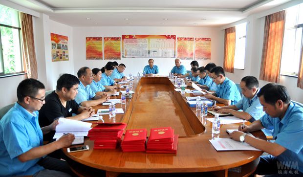 皖南電機(jī)：黨委召開紀(jì)念&ldquo;七一&rdquo;暨&ldquo;兩先一優(yōu)&rdquo;表彰會