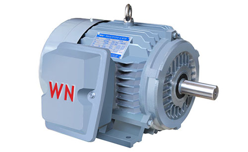 NE系列高效高轉(zhuǎn)矩三相異步電動機(jī) NE系列高效高轉(zhuǎn)矩三相異步電動機(jī)